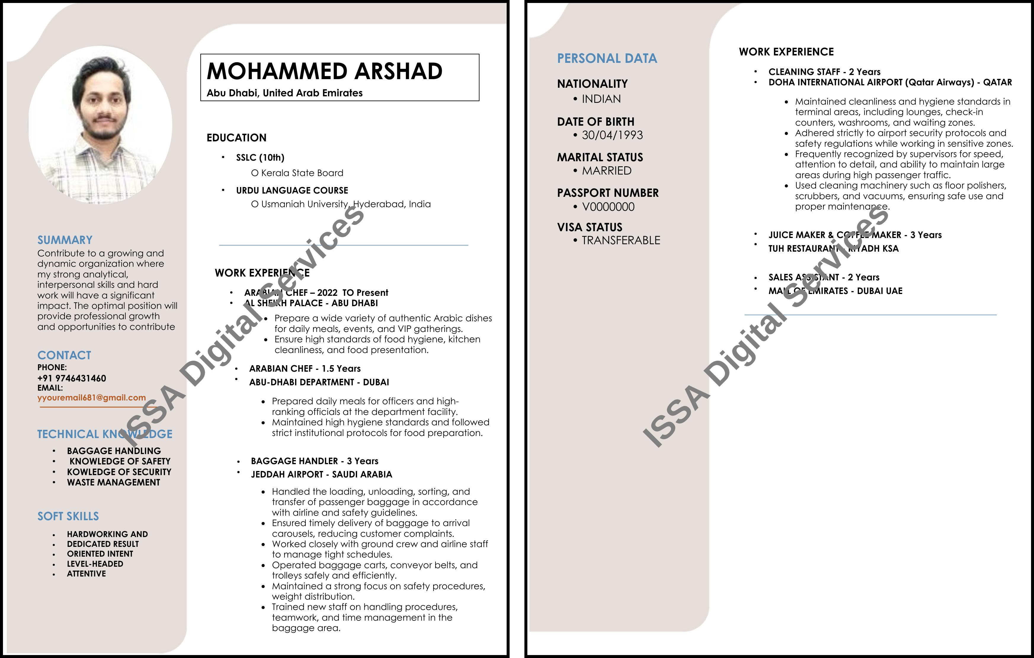 Professional CV Sample Design
